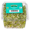 Broccoli Sprouts - 57 g