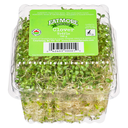 Clover Sprouts - 113 g