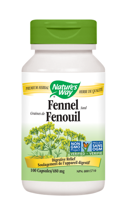 Fennel Seed - 480 mg