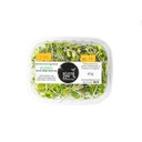 Sprouts - Classic Mix - Microgreens