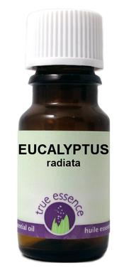 Eucalyptus Radiata Oil