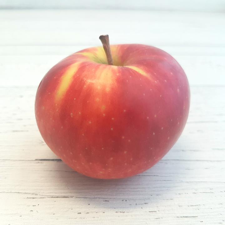 Apples Elstar Pippin Org