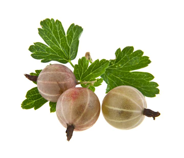 Gooseberries