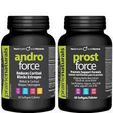 Prostate Protection Pak - Andro Force + Prost Force