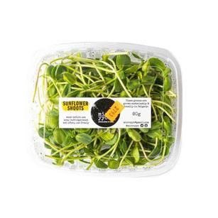 Sprouts - Sunflower Shoots - Microgreeens -