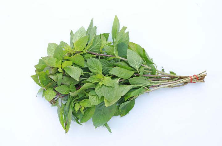 Fresh Herbs - Thai Basil