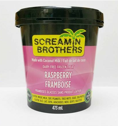 Dairy Free Frozen Treat - Raspberry