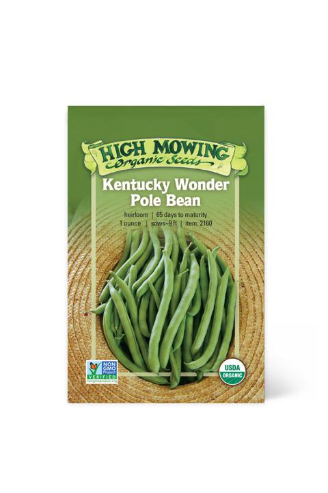 Kentucky Wonder Pole Bean