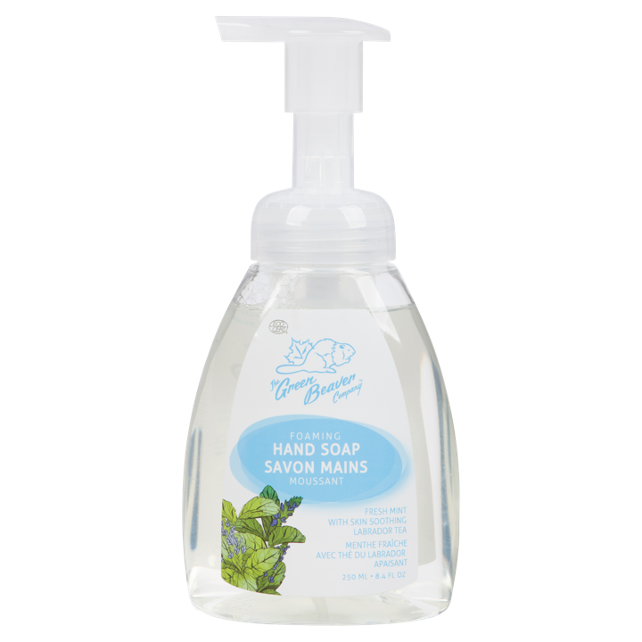 Foaming Hand Soap - Fresh Mint