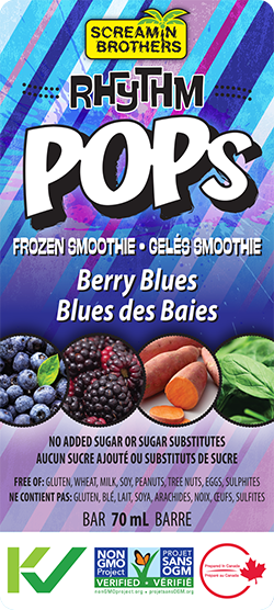 Rhythm Pops Frozen Smoothie - Berry Blues