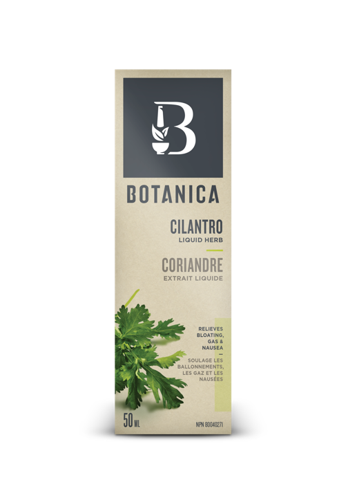 Cilantro