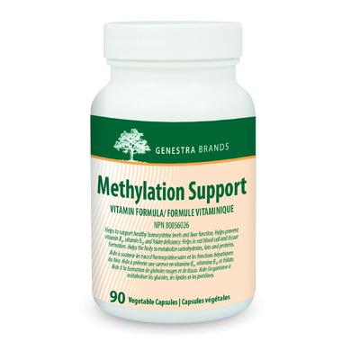 Methylation Support