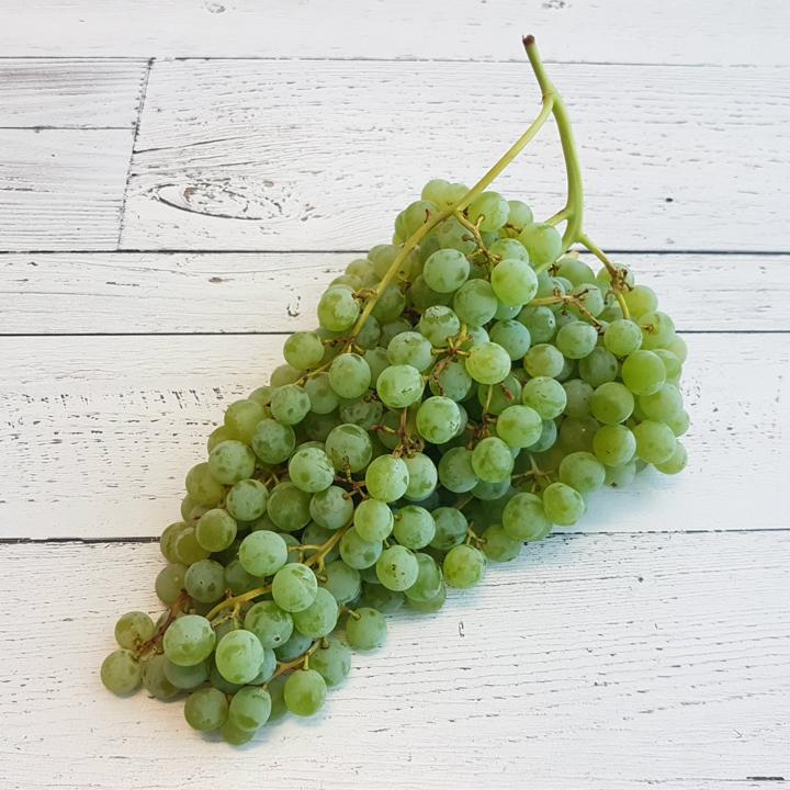 Grapes Green Lakemont Org