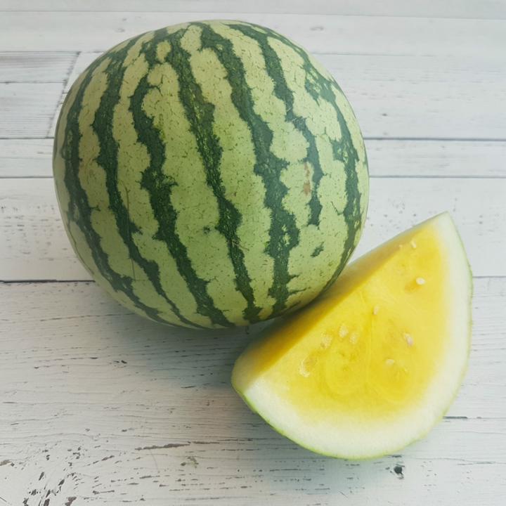 Watermelon Mini Yellow Org