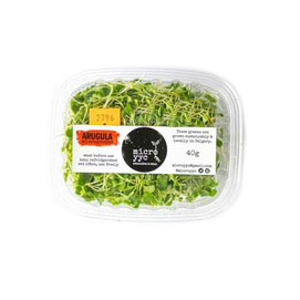 Sprouts - Arugula - Microgreens