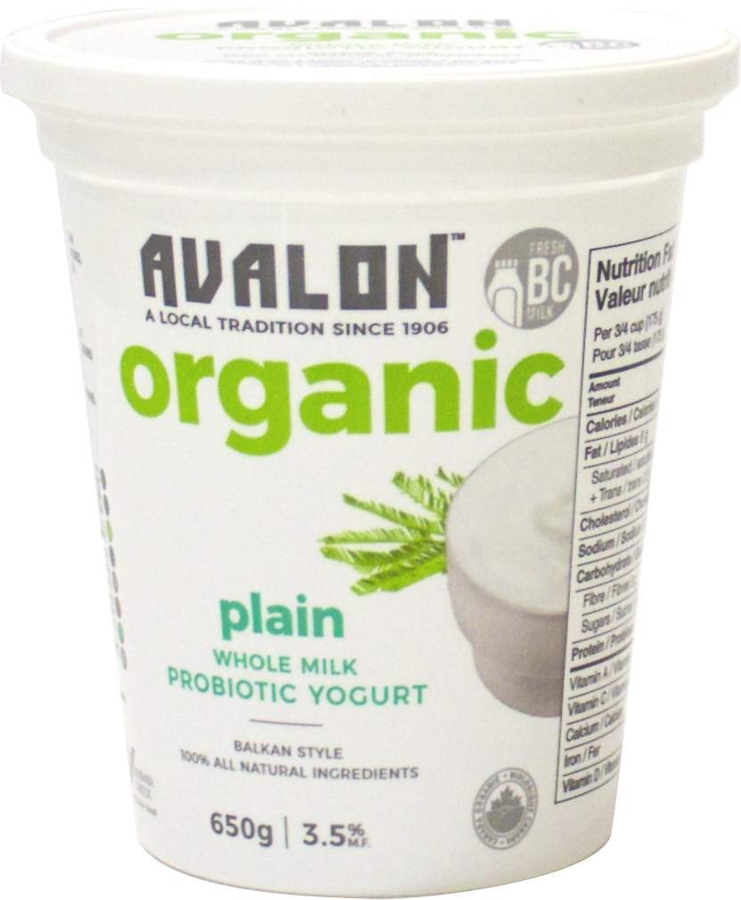 Probiotic Yogurt - Plain