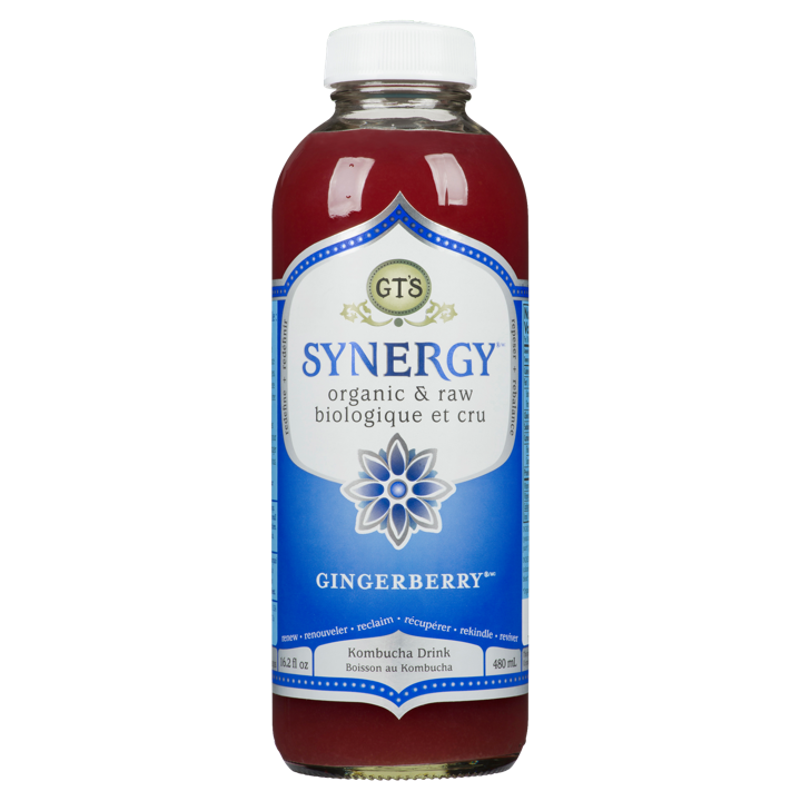 Synergy Kombucha Drink - Gingerberry