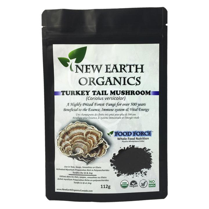 Turkey Tail - Mushroom
