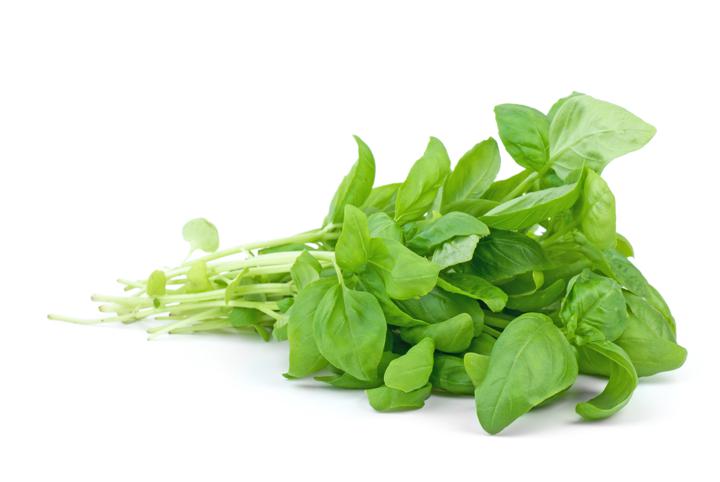 Herbs Basil Bulk Org