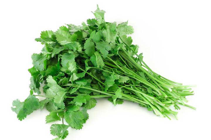 Fresh Herbs - Cilantro