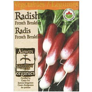 French Breakfast Radish