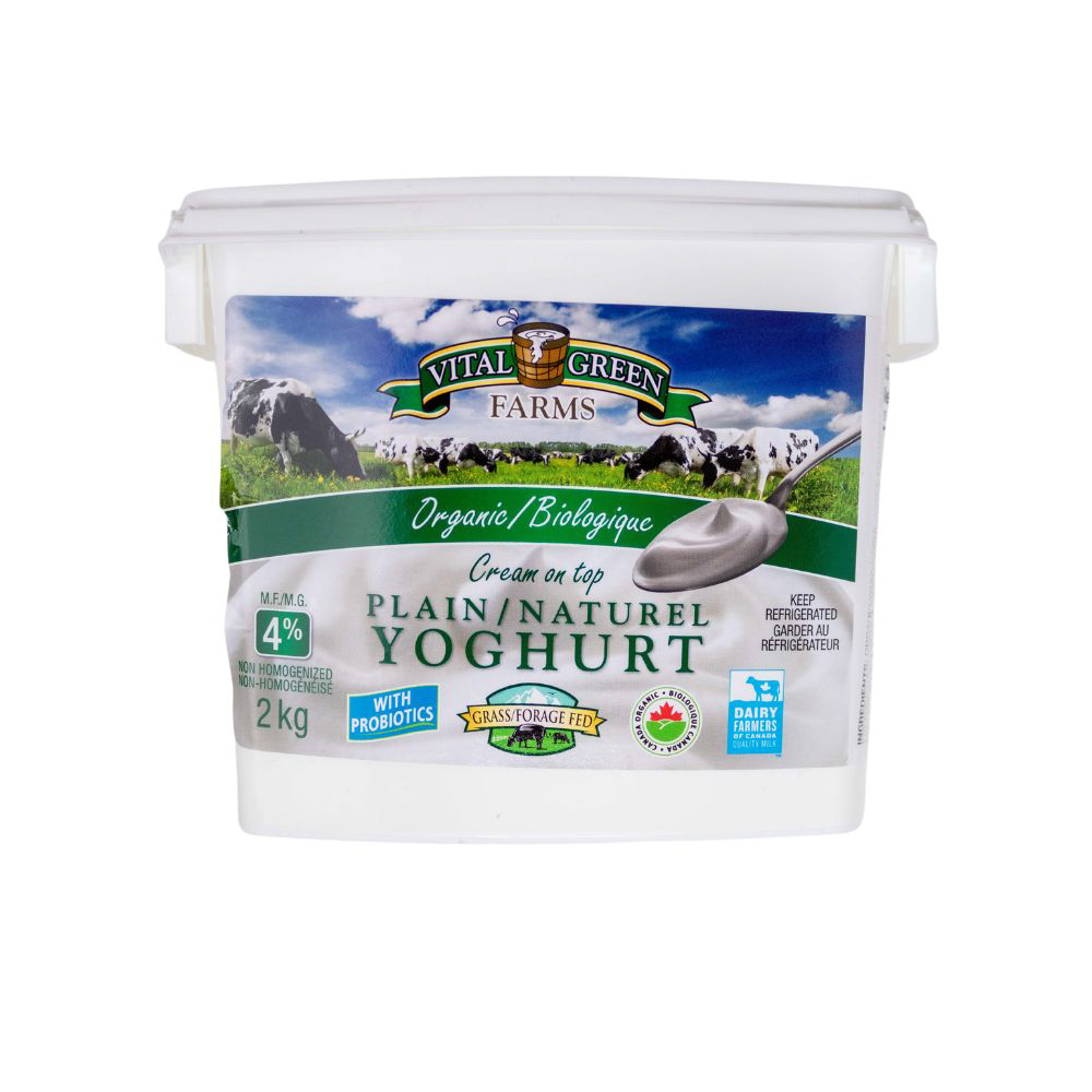 Yoghurt - Plain