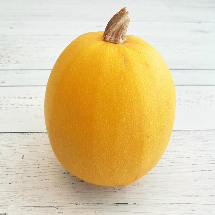 Squash Orangetti Org