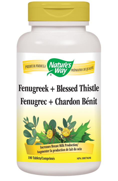 Fenugreek Blessed Thistle