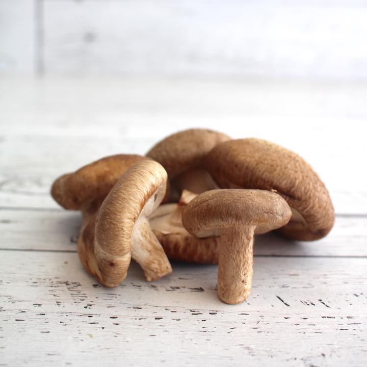 Mushrooms Shiitake Org