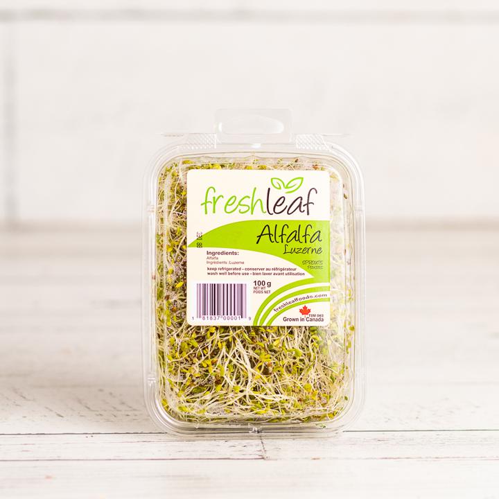 Alafalfa Sprouts