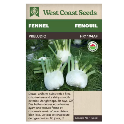 Seeds - Prelude Fennel