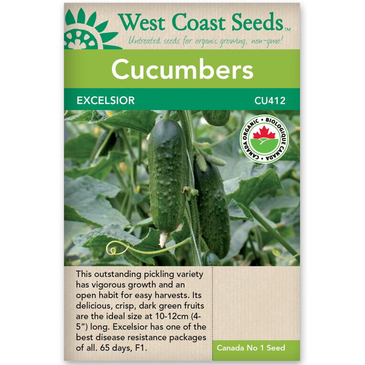 Seeds - Excelsior Cucumber