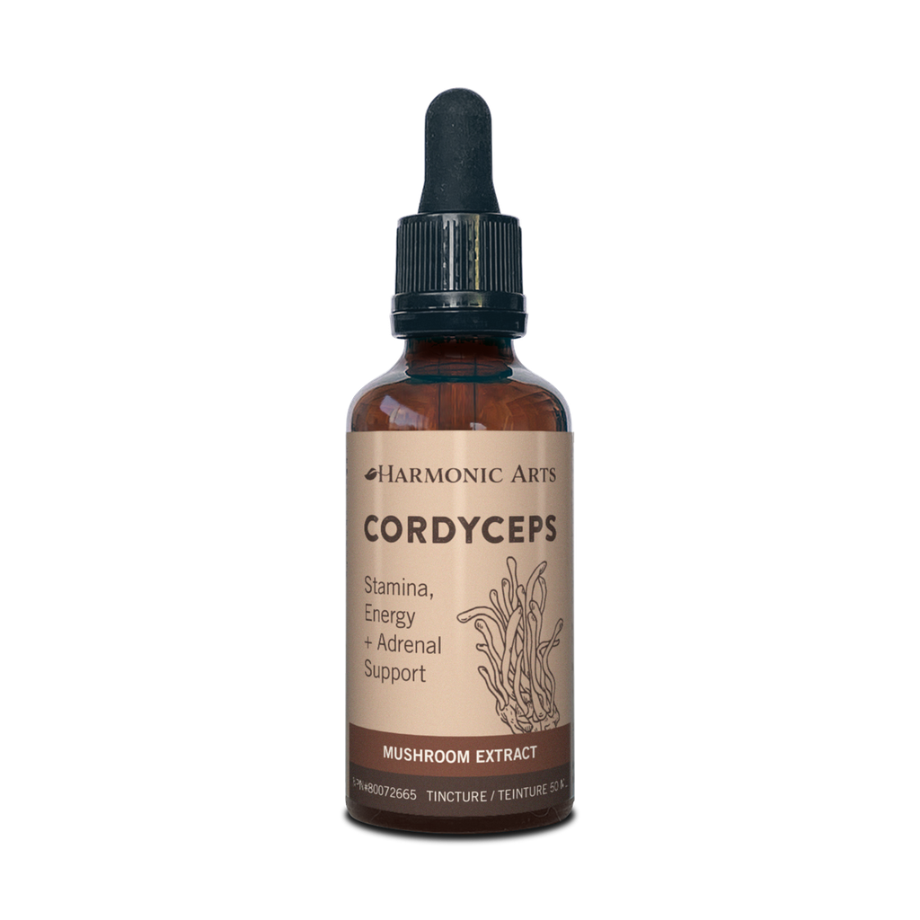 Cordyceps Tincture