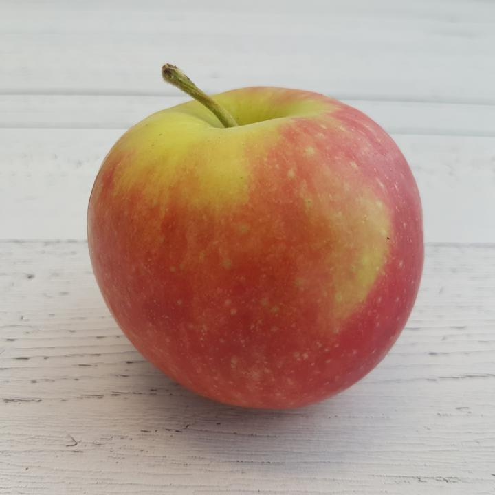 Apples Zestar Org