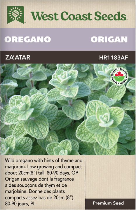 Seeds - Zaatar Oregano Certified Organic