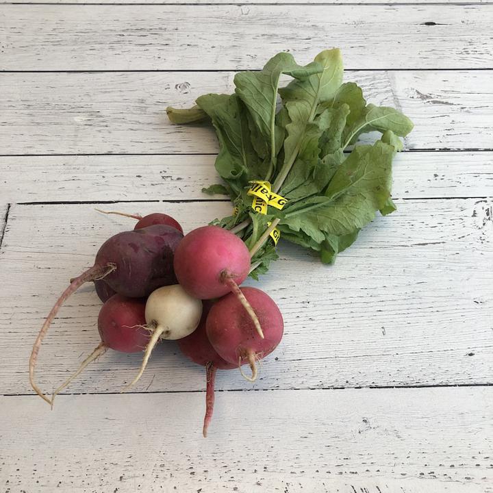 Easter Egg Radish Bunch