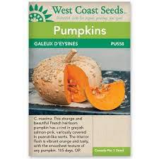 Seeds - Galeux d'Eysines Pumpkin Certified Organic