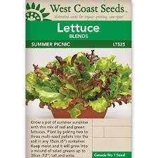 Seeds - Summer Picnic (Pelleted) Baby Leaf Lettuces