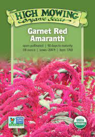 Garnet Red Amaranth