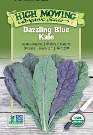 Dazzling Blue Kale