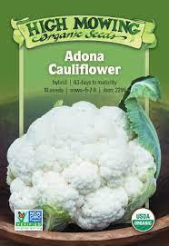 Adona F1 Cauliflower