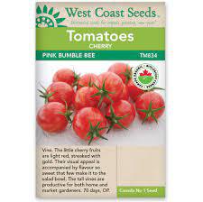 Seeds - Purple Bumble Bee Cherry Tomato Certified Organic