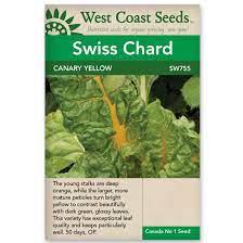 Seeds - Canary Yellow Chard