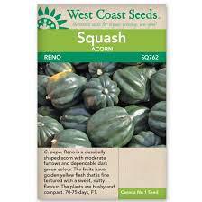 Seeds - Reno F1 Acorn Squash