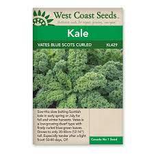 Seeds - Vates Blue Curled Scotch Kale