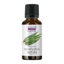 Eucalyptus Radiata Oil (Eucalyptus radiata)30mL