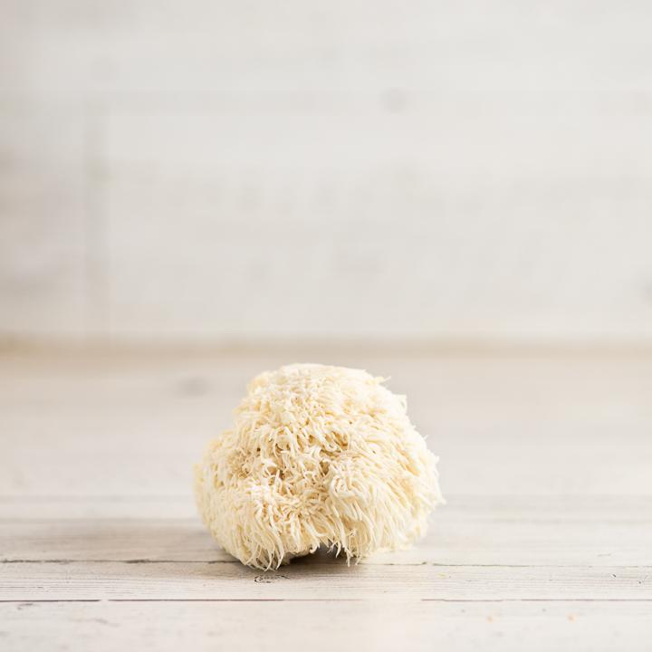 Lion’s Mane Mushrooms