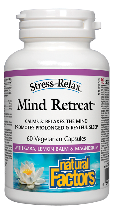 Mind Retreat