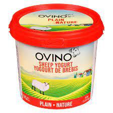 5% Plain Sheep Yogurt