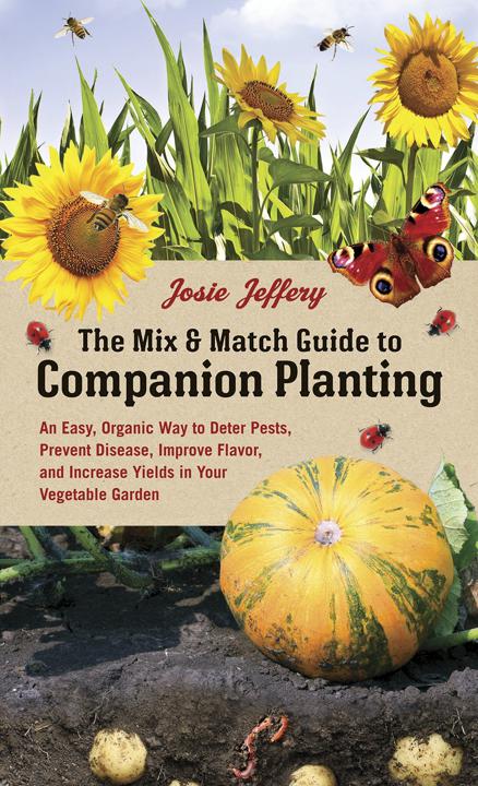 Mix and Match Guide to Companion Planting